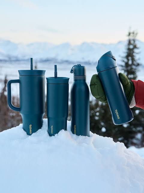 Owala Freesip Bottle 32oz - Winter