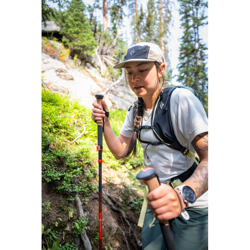 Black Diamond Pursuit Carbon FLZ Poles