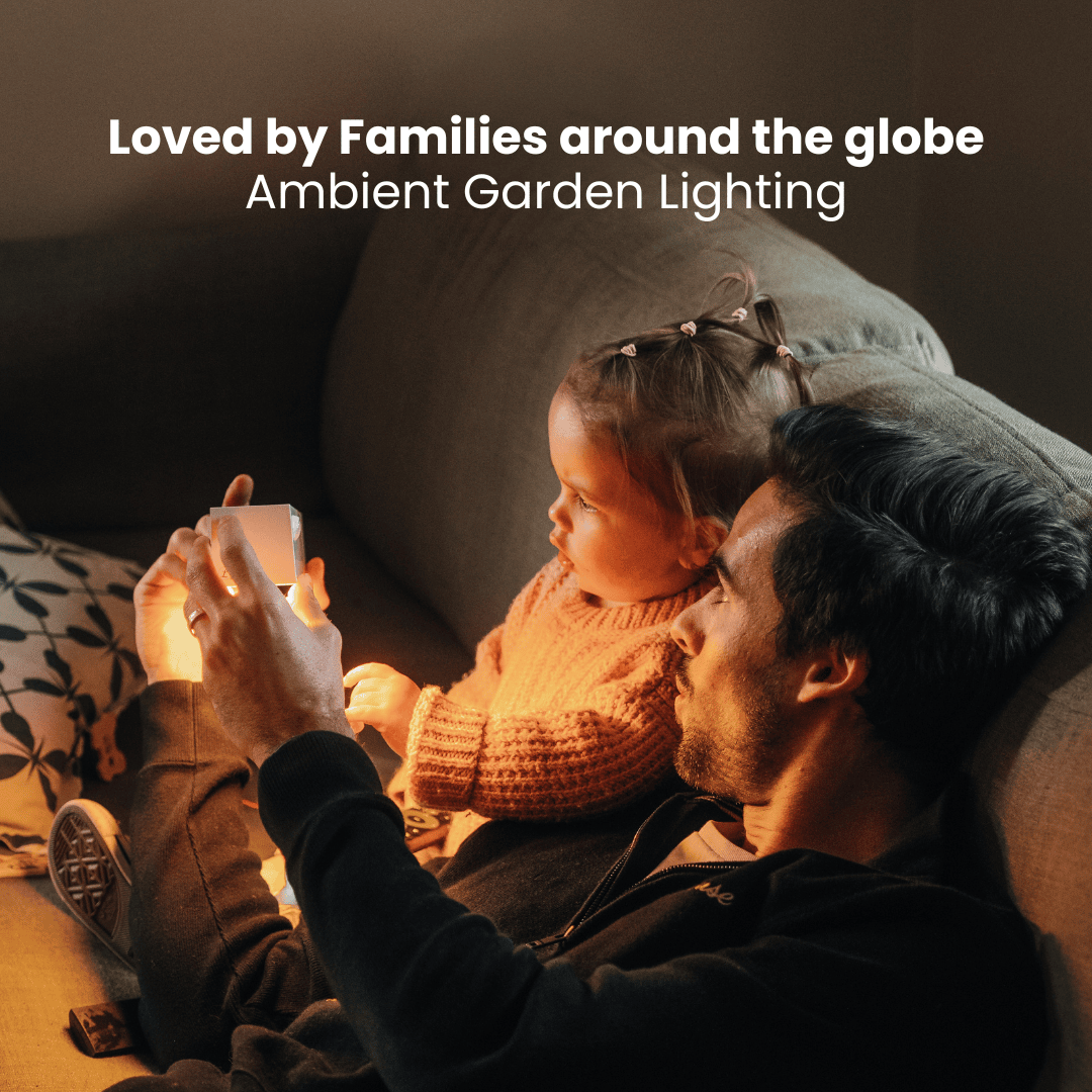 Solar Wall Light with Motion Sensor